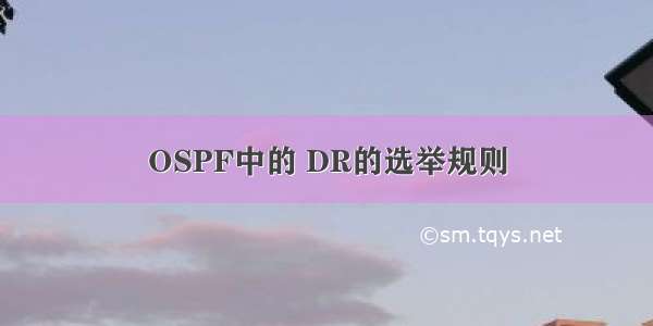 OSPF中的 DR的选举规则