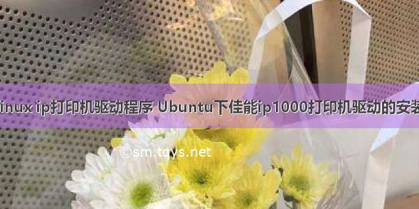 linux ip打印机驱动程序 Ubuntu下佳能ip1000打印机驱动的安装