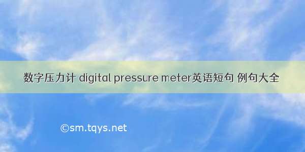 数字压力计 digital pressure meter英语短句 例句大全