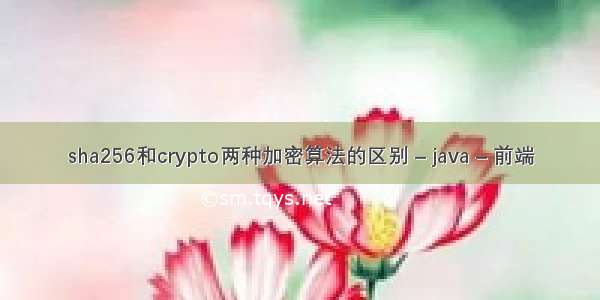 sha256和crypto两种加密算法的区别 – java – 前端