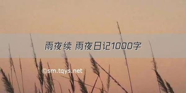 雨夜续 雨夜日记1000字