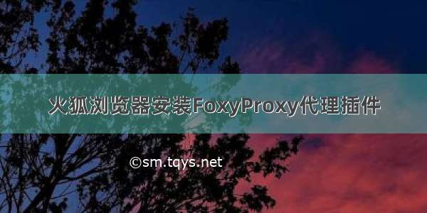 火狐浏览器安装FoxyProxy代理插件