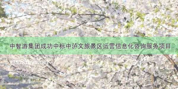 中智游集团成功中标中泸文旅景区运营信息化咨询服务项目