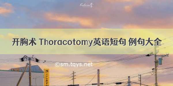开胸术 Thoracotomy英语短句 例句大全