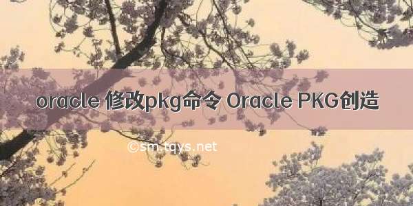 oracle 修改pkg命令 Oracle PKG创造