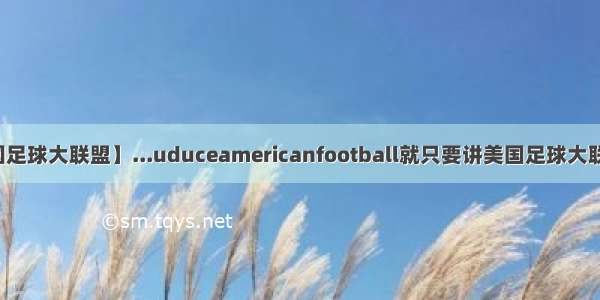 【美国足球大联盟】...uduceamericanfootball就只要讲美国足球大联盟的...