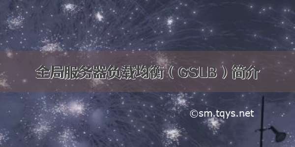 全局服务器负载均衡（GSLB）简介