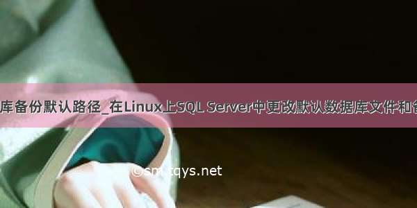 sql数据库备份默认路径_在Linux上SQL Server中更改默认数据库文件和备份路径