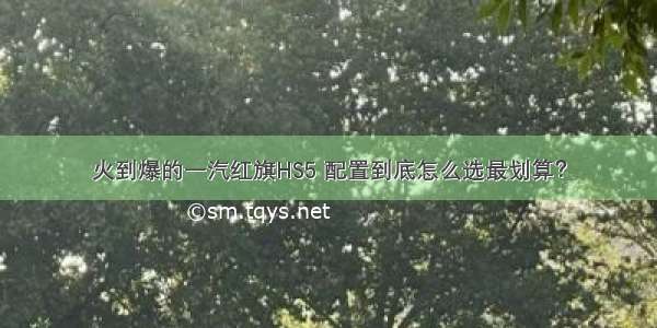 火到爆的一汽红旗HS5 配置到底怎么选最划算？