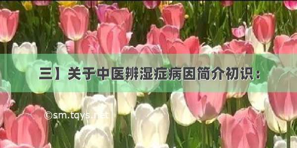 三】关于中医辨湿症病因简介初识：