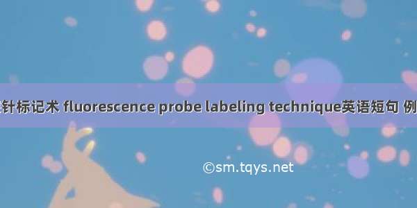 荧光探针标记术 fluorescence probe labeling technique英语短句 例句大全