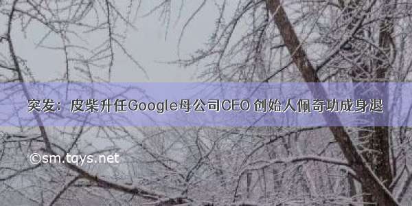 突发：皮柴升任Google母公司CEO 创始人佩奇功成身退