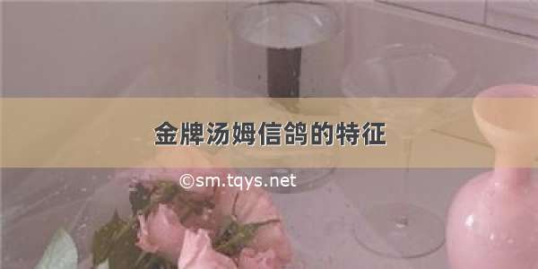 金牌汤姆信鸽的特征