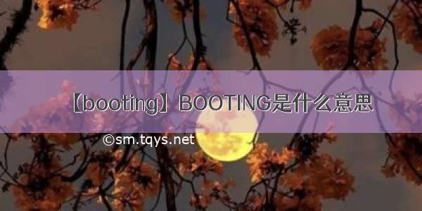 【booting】BOOTING是什么意思
