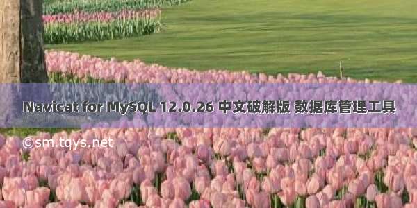 Navicat for MySQL 12.0.26 中文破解版 数据库管理工具