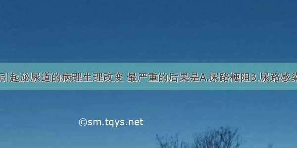 鹿角形结石引起泌尿道的病理生理改变 最严重的后果是A.尿路梗阻B.尿路感染C.尿路上皮