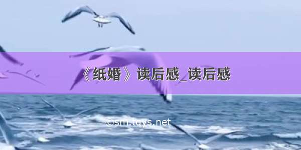 《纸婚》读后感_读后感