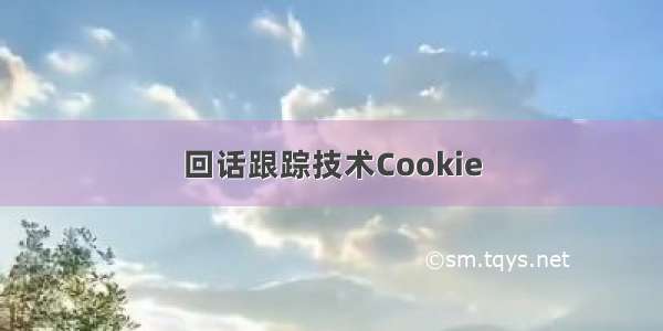 回话跟踪技术Cookie