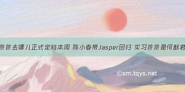 爸爸去哪儿正式定档本周 陈小春带Jasper回归 实习爸爸是何猷君