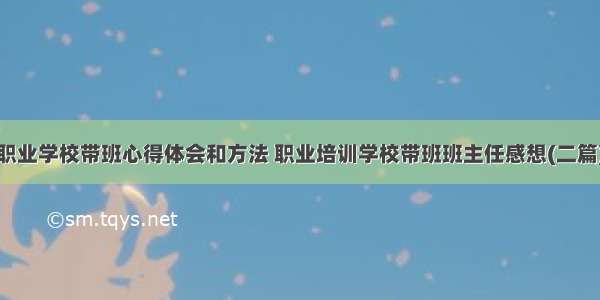 职业学校带班心得体会和方法 职业培训学校带班班主任感想(二篇)