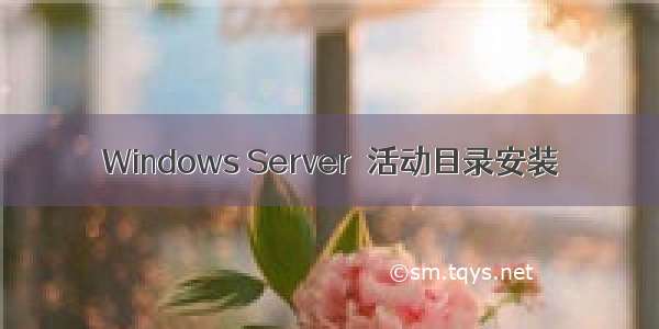 Windows Server  活动目录安装