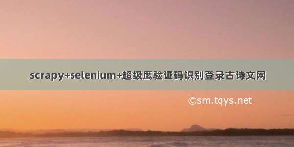 scrapy+selenium+超级鹰验证码识别登录古诗文网