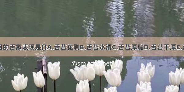 湿热内阻的舌象表现是()A.舌苔花剥B.舌苔水滑C.舌苔厚腻D.舌苔干厚E.舌苔霉腐