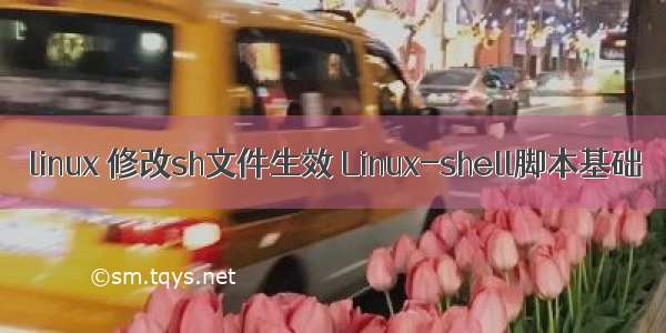 linux 修改sh文件生效 Linux-shell脚本基础