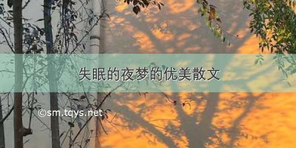 失眠的夜梦的优美散文