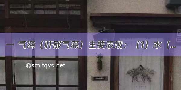 一 气滞（肝郁气滞）主要表现：（1）水（...