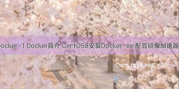 Docker-1 Docker简介 CentOS8安装Docker-ce 配置镜像加速器
