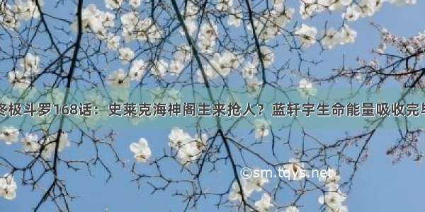 终极斗罗168话：史莱克海神阁主来抢人？蓝轩宇生命能量吸收完毕