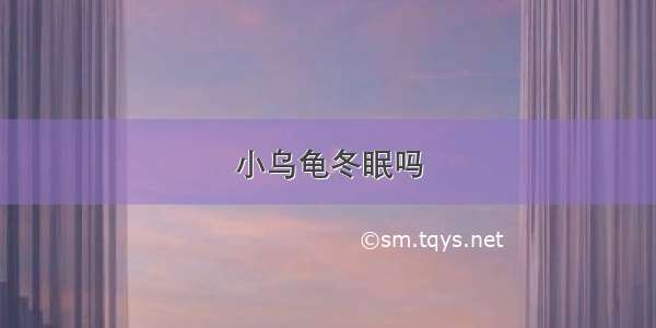 小乌龟冬眠吗