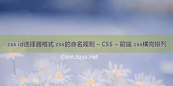 css id选择器格式 css的命名规则 – CSS – 前端 css横向排列