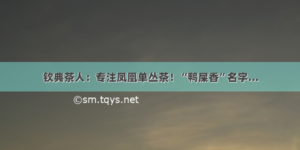 钦典茶人：专注凤凰单丛茶！“鸭屎香”名字...