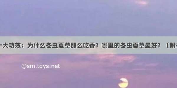 冬虫夏草的十大功效：为什么冬虫夏草那么吃香？哪里的冬虫夏草最好？（附冬虫夏草识别