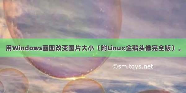 用Windows画图改变图片大小（附Linux企鹅头像完全版）。