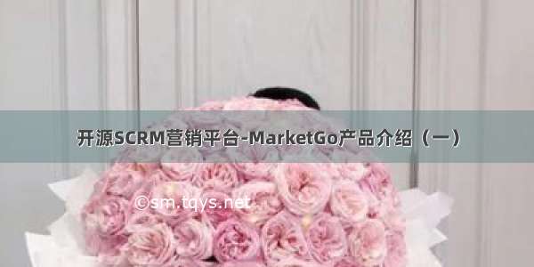 开源SCRM营销平台-MarketGo产品介绍（一）