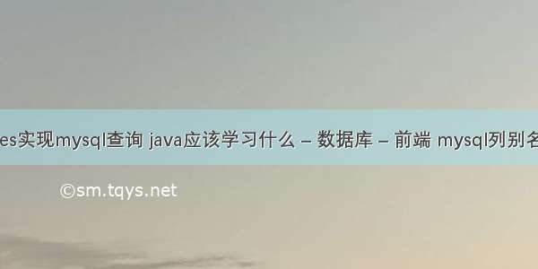 es实现mysql查询 java应该学习什么 – 数据库 – 前端 mysql列别名