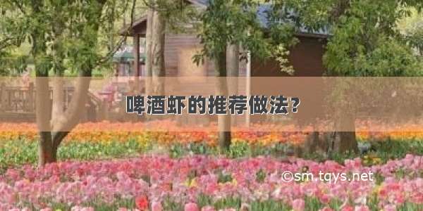 啤酒虾的推荐做法？