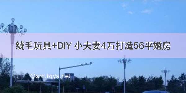 绒毛玩具+DIY 小夫妻4万打造56平婚房