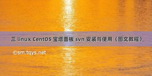 三 linux CentOS 宝塔面板 svn 安装与使用（图文教程）