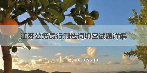 江苏公务员行测选词填空试题详解