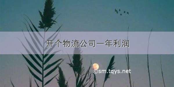 开个物流公司一年利润