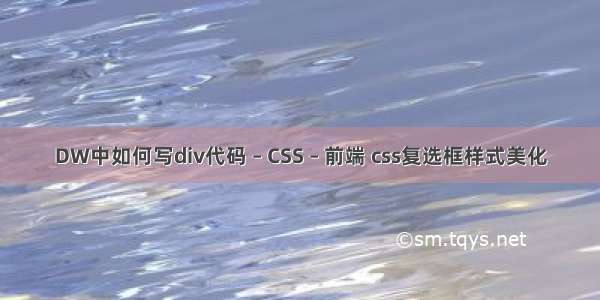 DW中如何写div代码 – CSS – 前端 css复选框样式美化