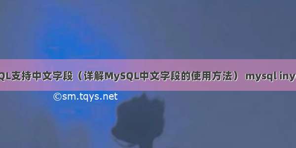 MySQL支持中文字段（详解MySQL中文字段的使用方法） mysql inyerval