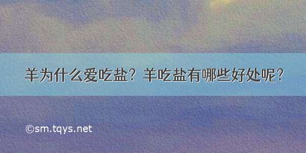 羊为什么爱吃盐？羊吃盐有哪些好处呢？