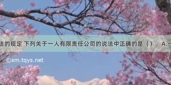 根据公司法的规定 下列关于一人有限责任公司的说法中正确的是（　　）。A.一人有限责