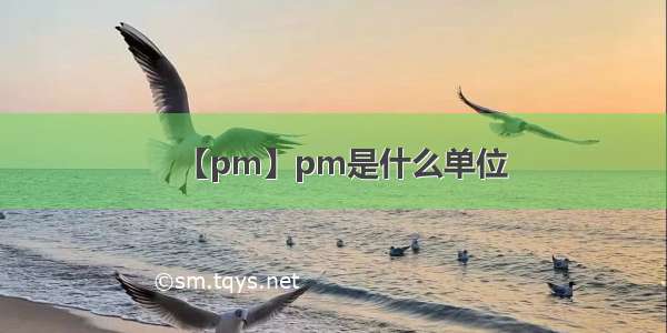 【pm】pm是什么单位