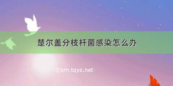 楚尔盖分枝杆菌感染怎么办